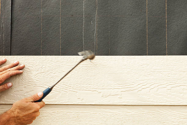 Best Siding Painting and Refinishing  in Lockland, OH